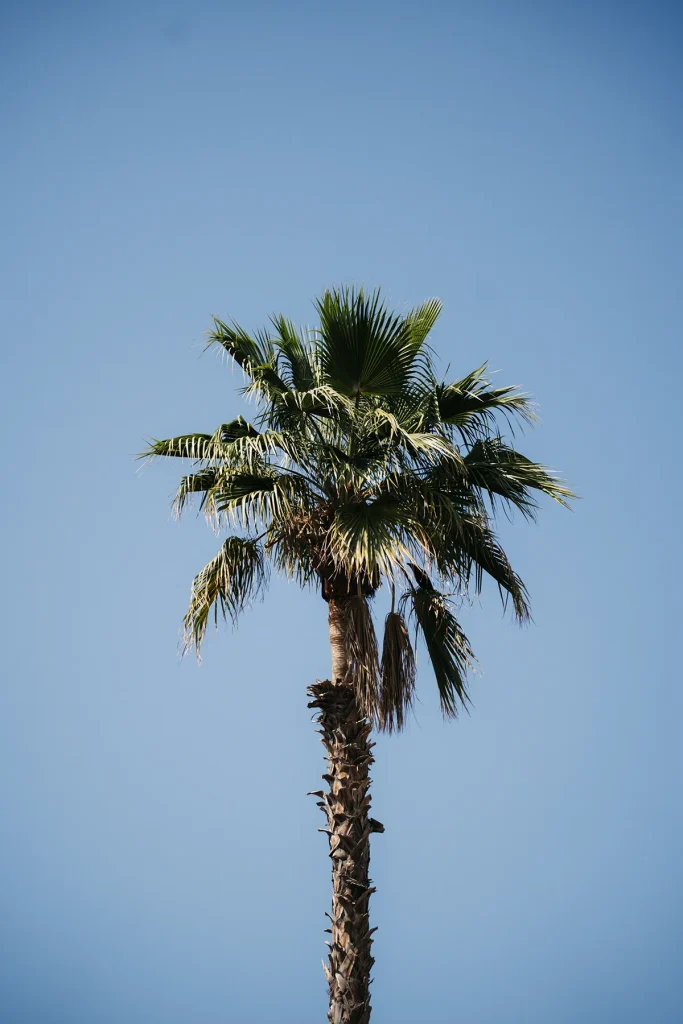 DSC06684